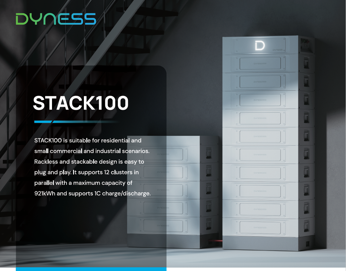DYNESS STACK 100